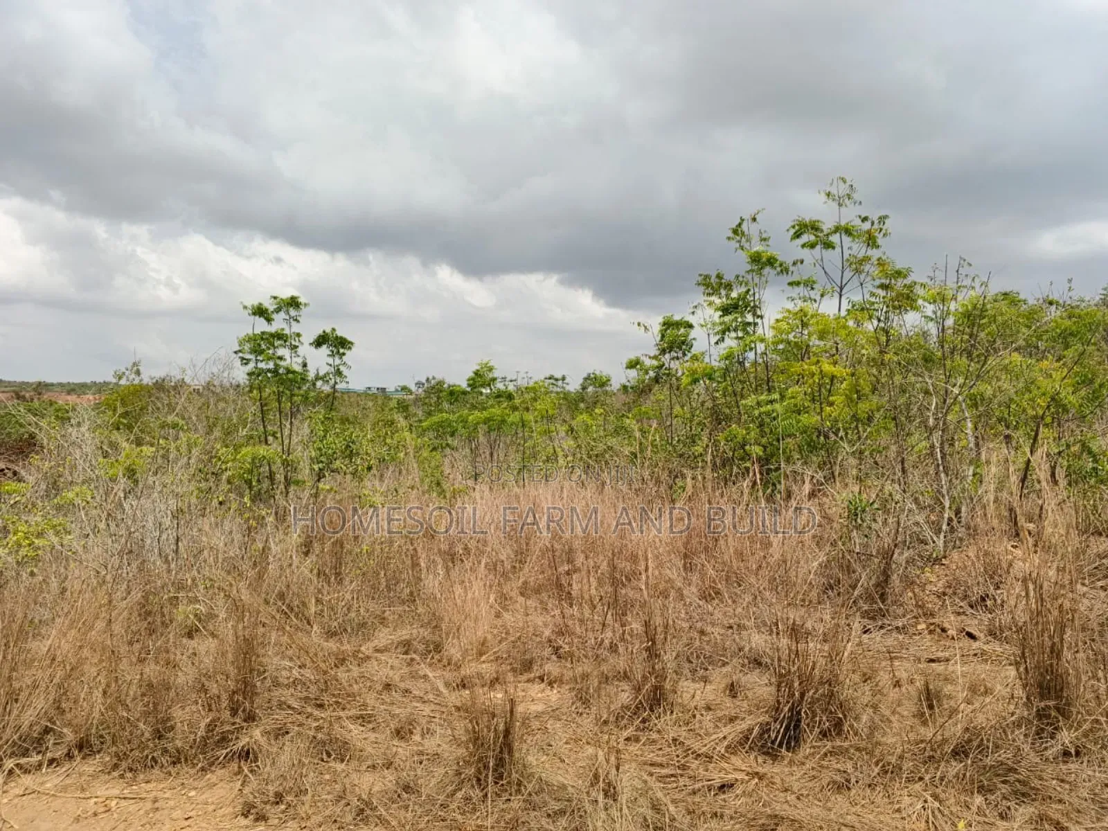 14 Plots Of Prime, Genuine And Affordable Lands For Sale, At Fetteh. in Gomoa East