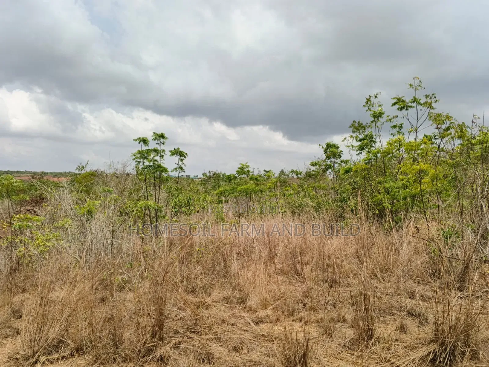 14 Plots Of Prime, Genuine And Affordable Lands For Sale, At Fetteh. in Gomoa East