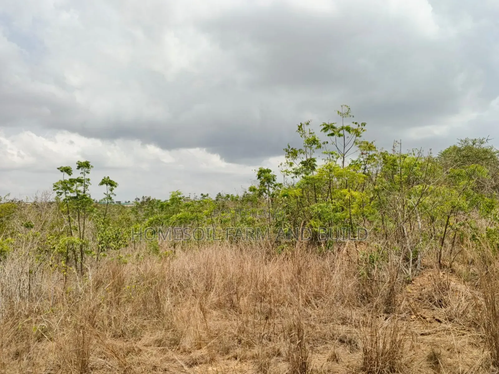14 Plots Of Prime, Genuine And Affordable Lands For Sale, At Fetteh. in Gomoa East