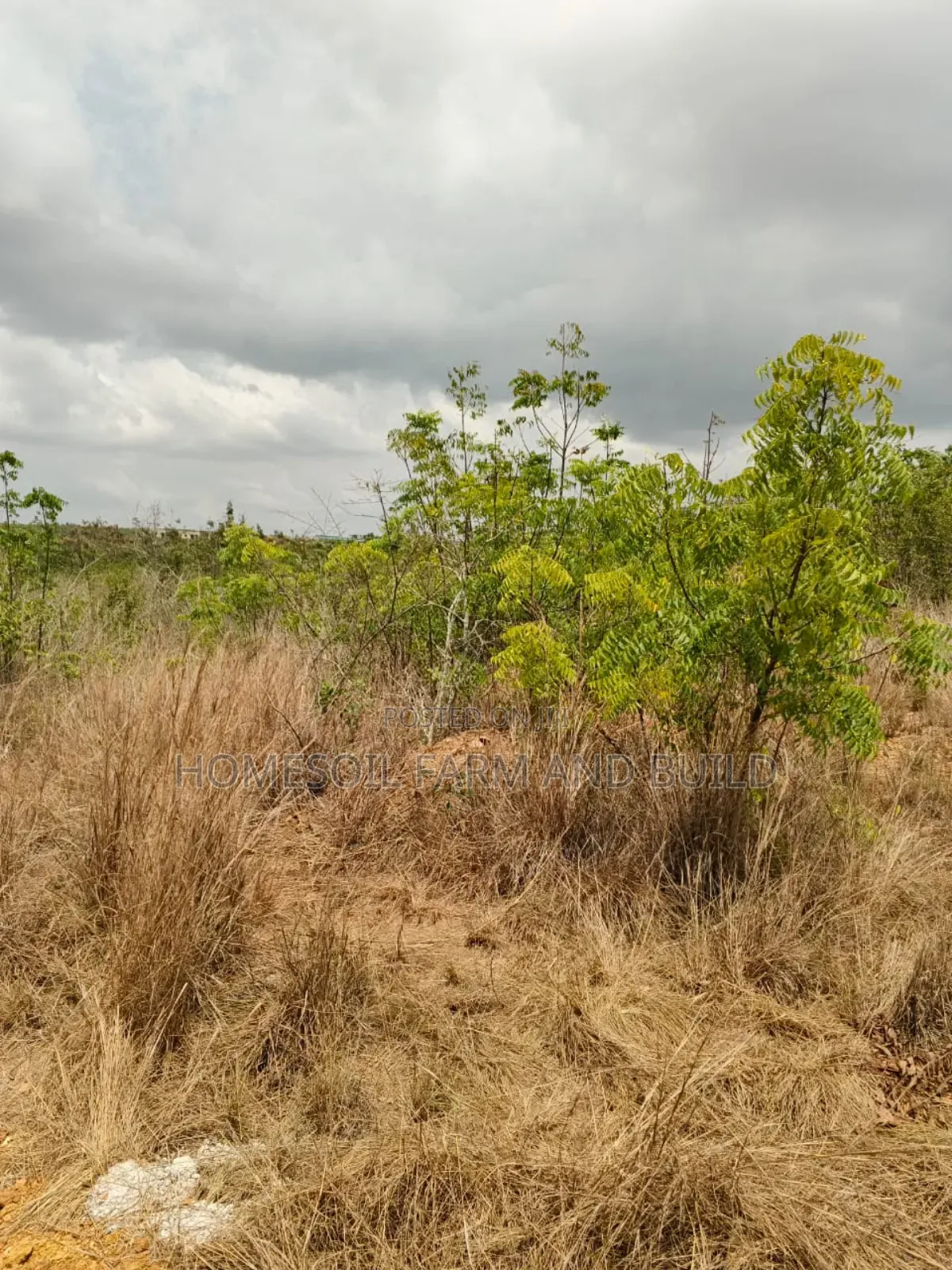 14 Plots Of Prime, Genuine And Affordable Lands For Sale, At Fetteh. in Gomoa East