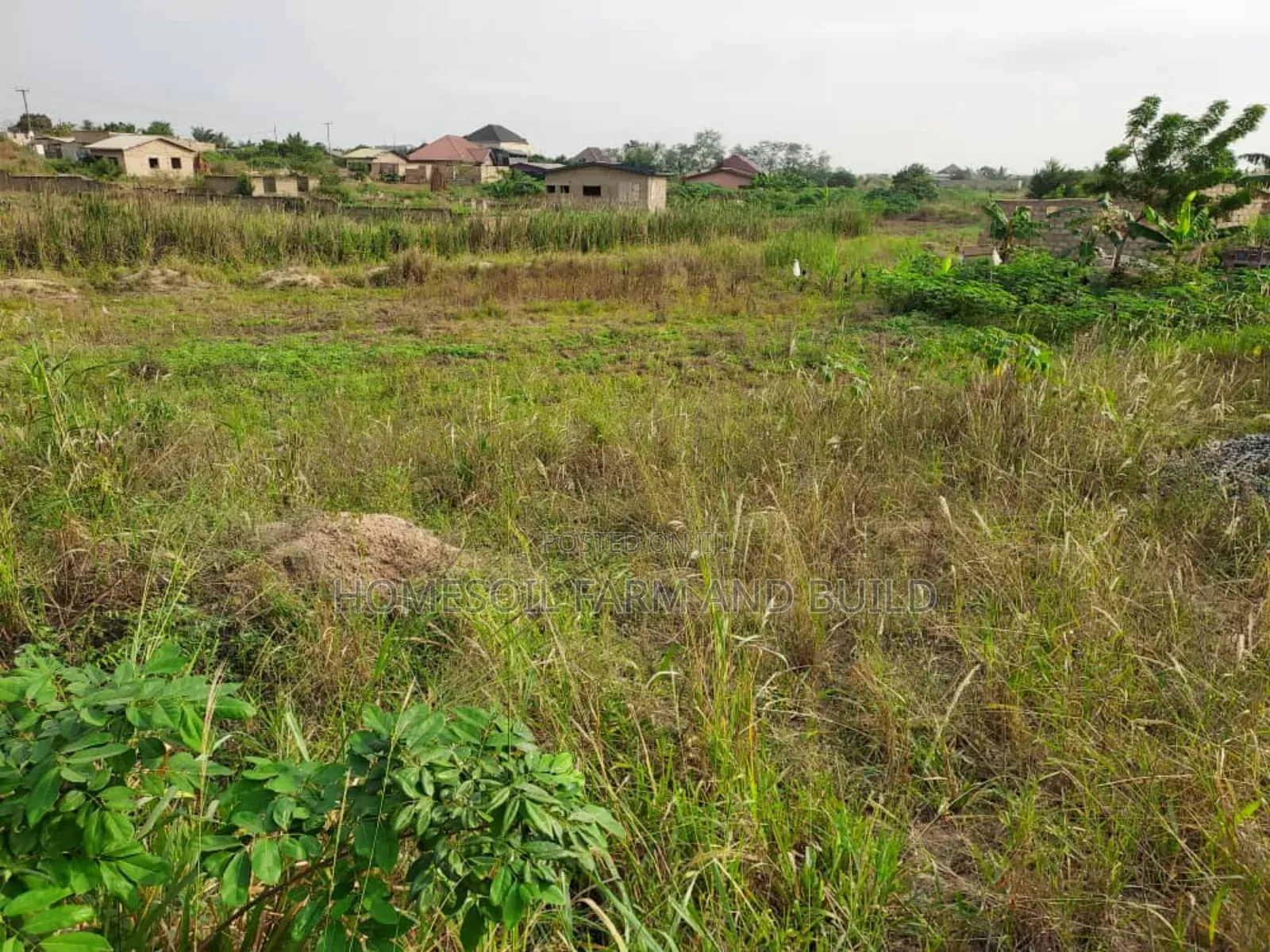 A Plot of Litigation Free Residential Land for Sale at Papaase in Awutu Senya East Municipal