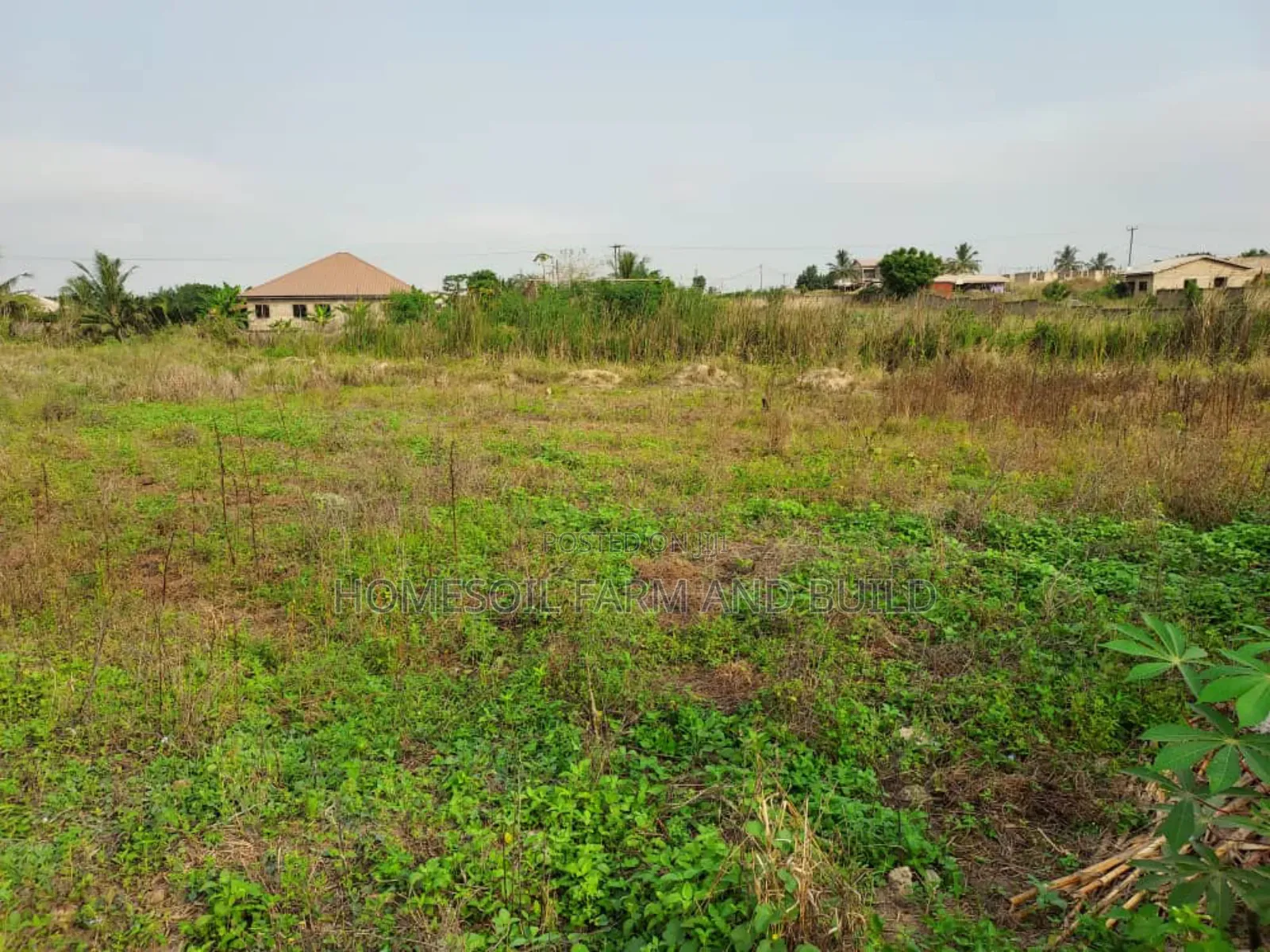 A Plot of Litigation Free Residential Land for Sale at Papaase in Awutu Senya East Municipal