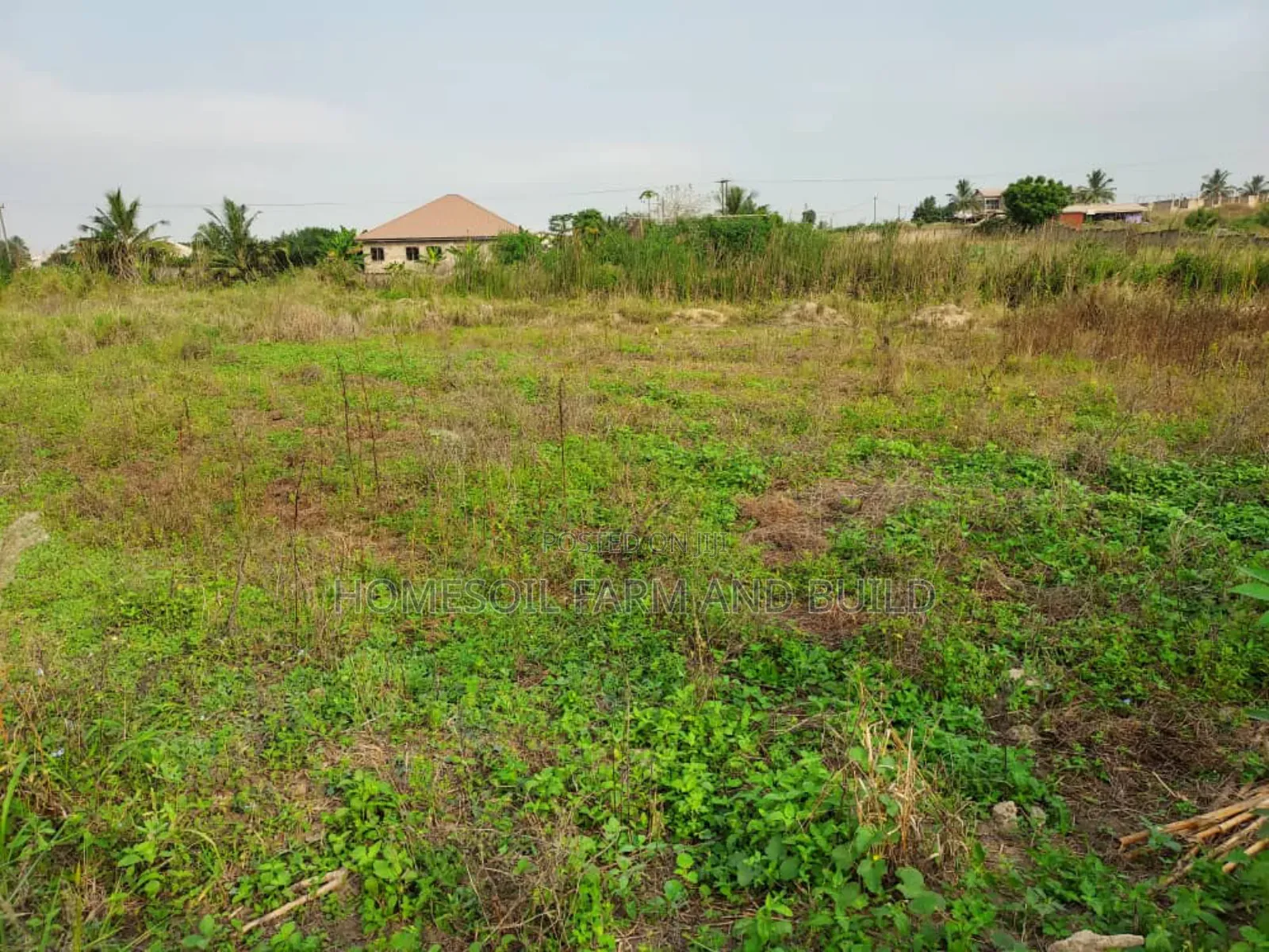 A Plot of Litigation Free Residential Land for Sale at Papaase in Awutu Senya East Municipal