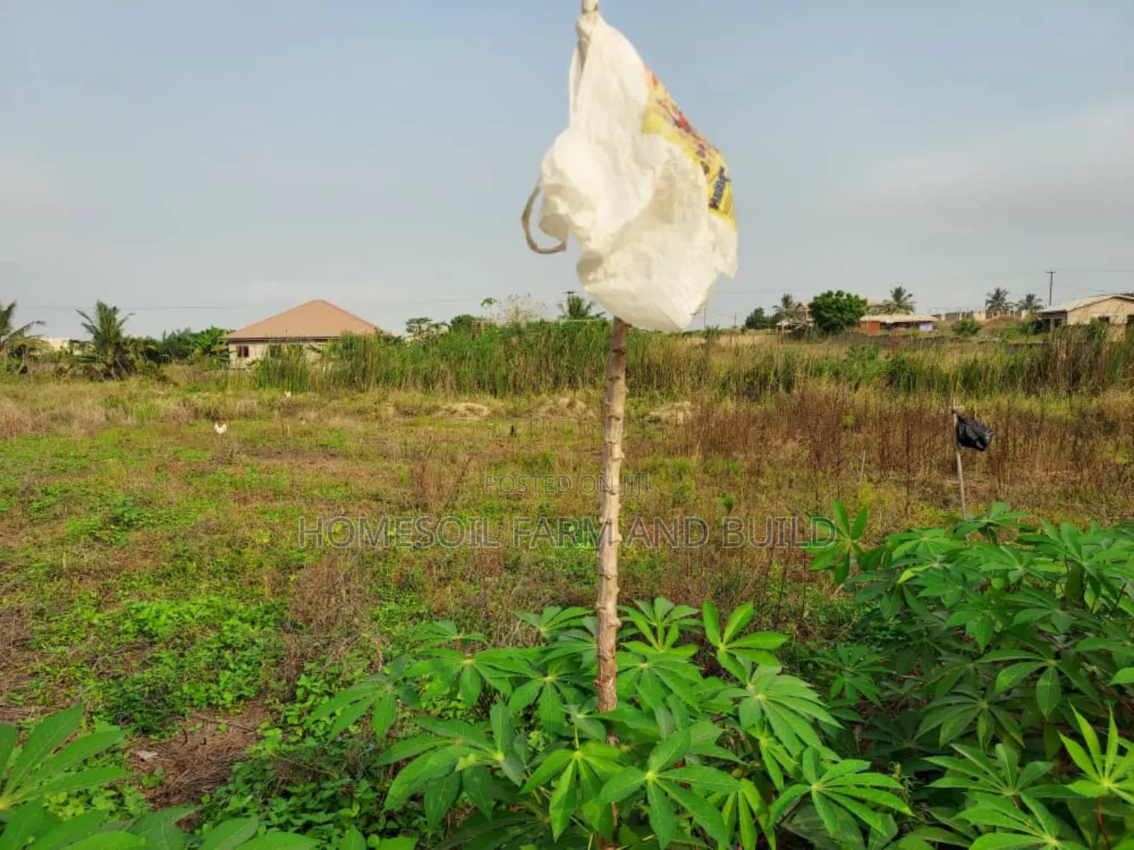 A Plot of Litigation Free Residential Land for Sale at Papaase in Awutu Senya East Municipal