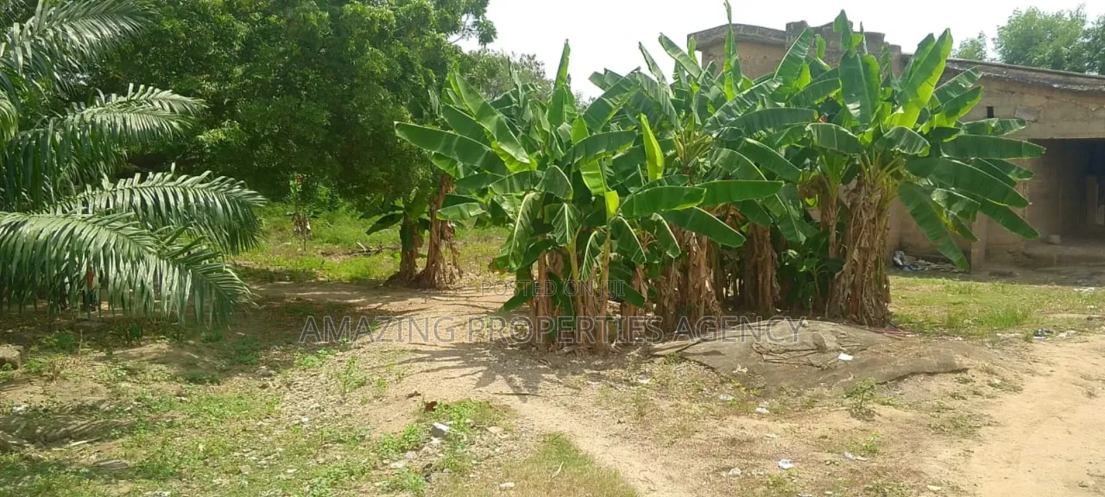 A Spintex Main Road Land for Sale* *Size:* 1.16 Acres in Spintex