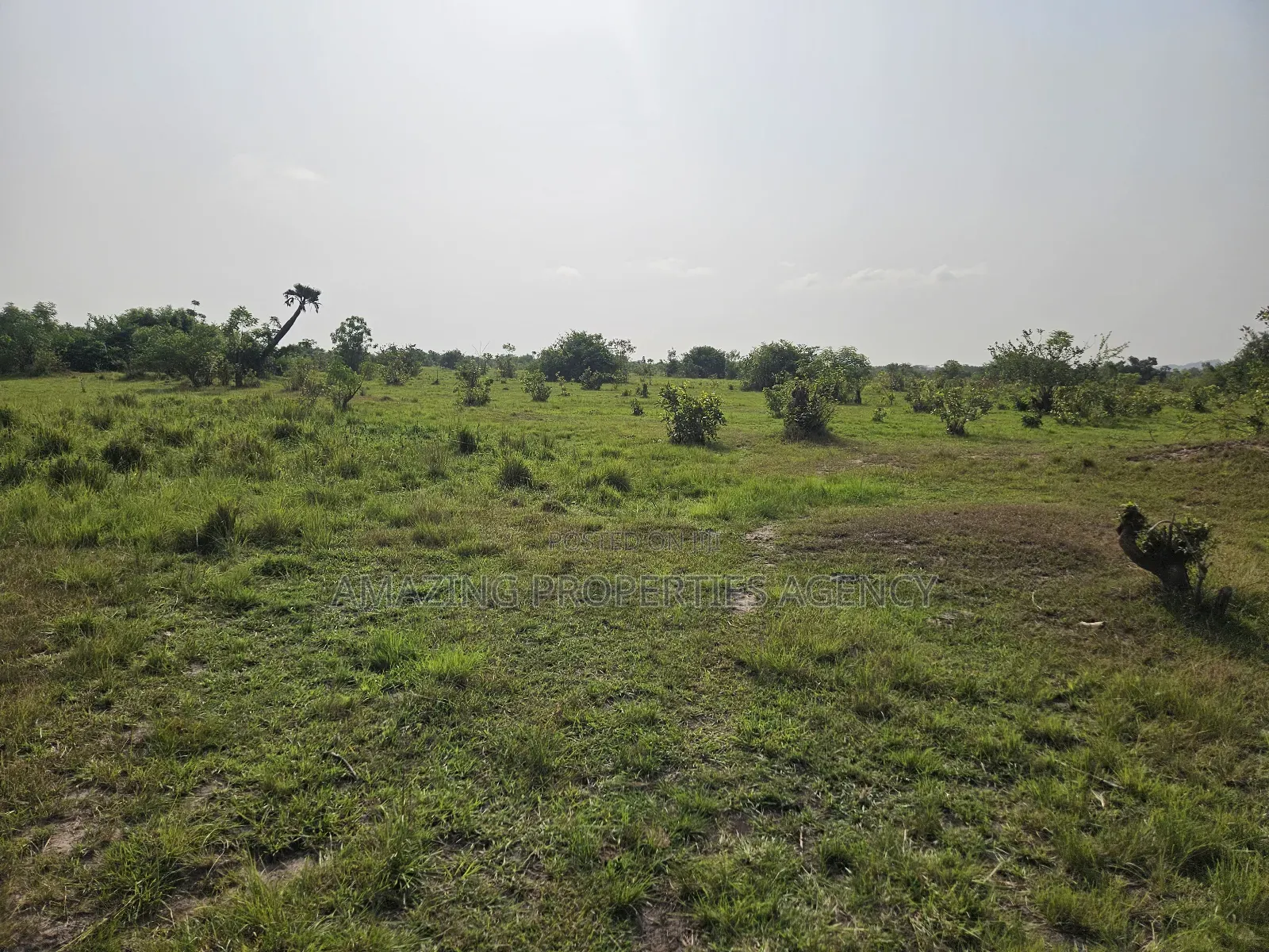 50, 000 Acres of Land at Shai Hills Vast Land for Sale* in Accra Metropolitan