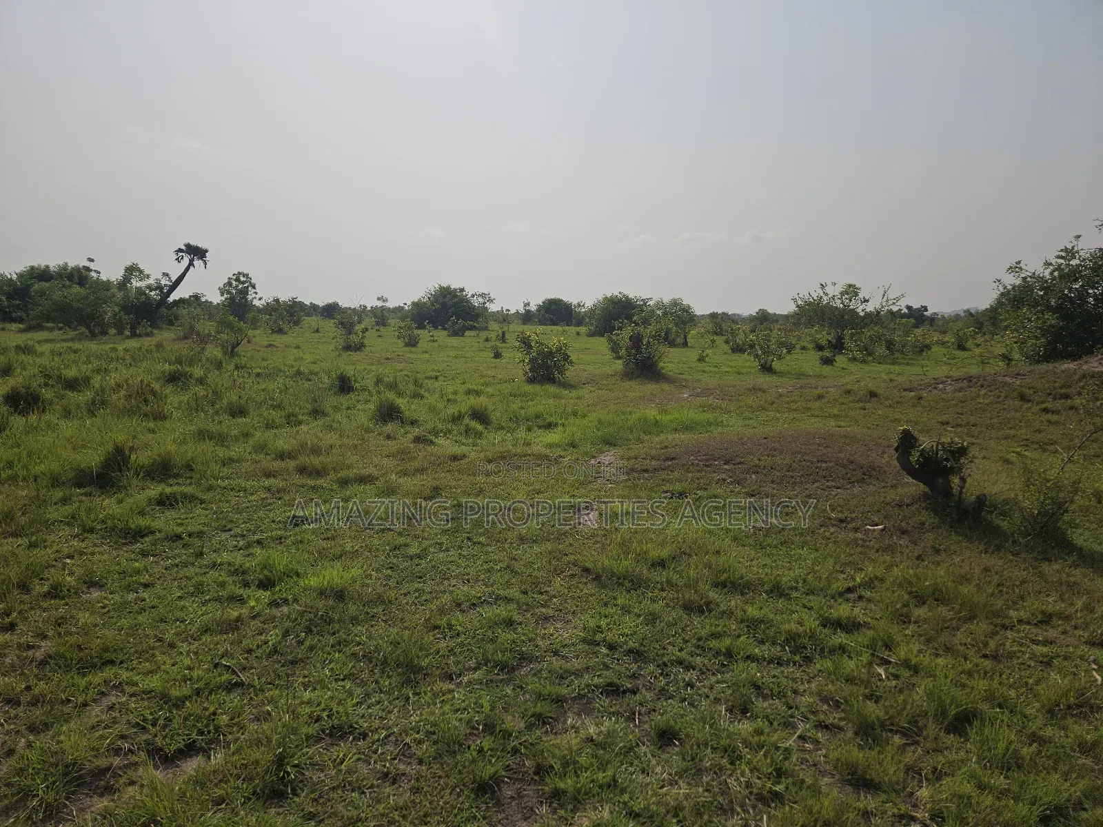 50, 000 Acres of Land at Shai Hills Vast Land for Sale* in Accra Metropolitan