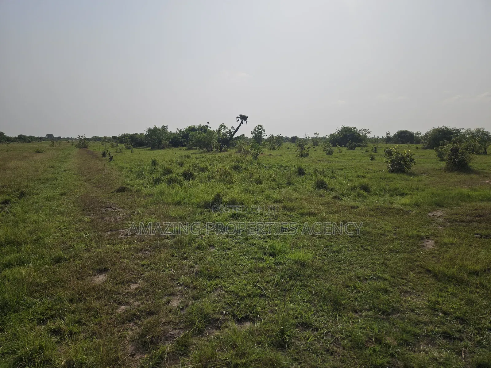 50, 000 Acres of Land at Shai Hills Vast Land for Sale* in Accra Metropolitan