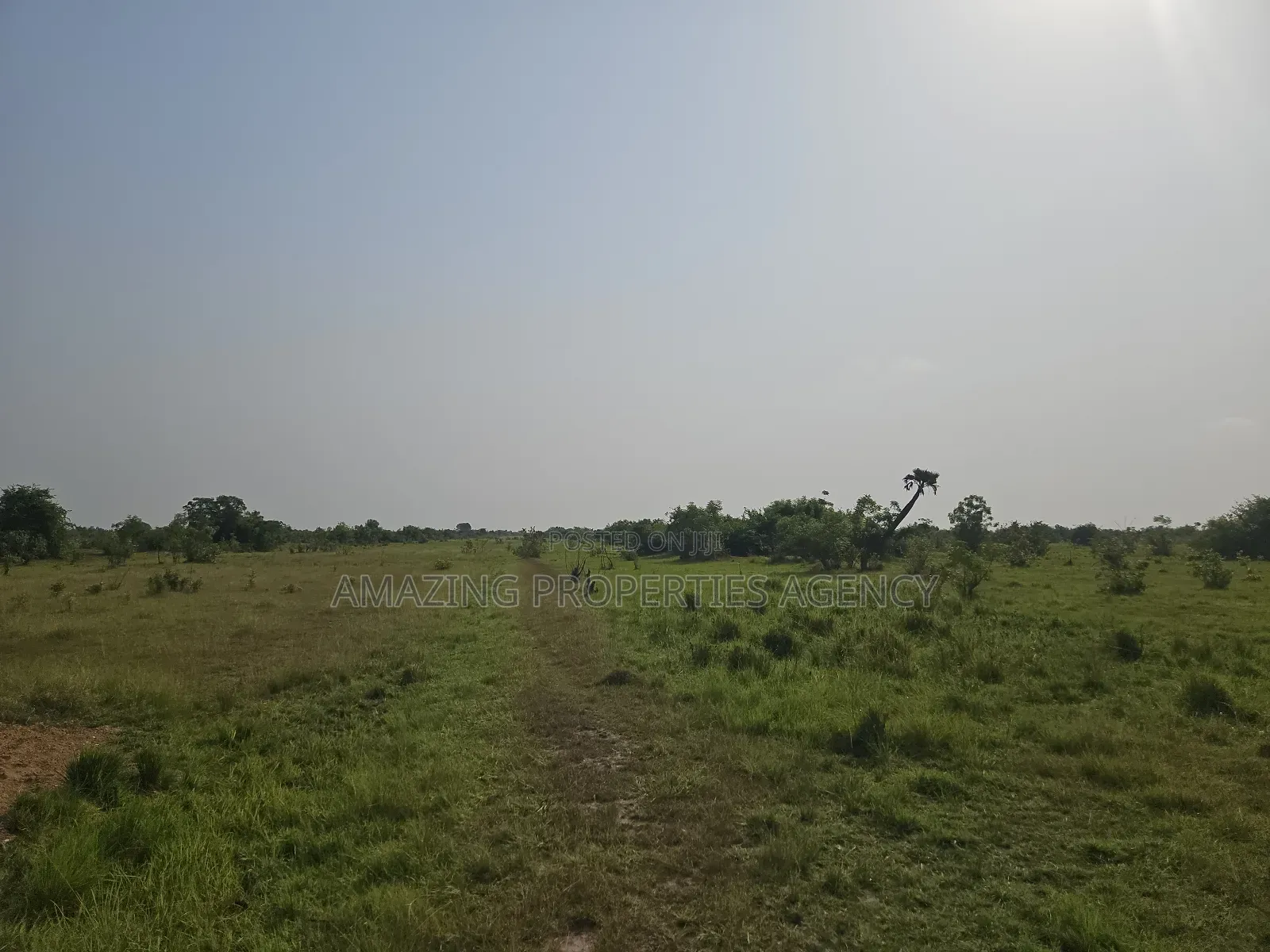 40 Acres of Land for Sale at School Junction in Madina