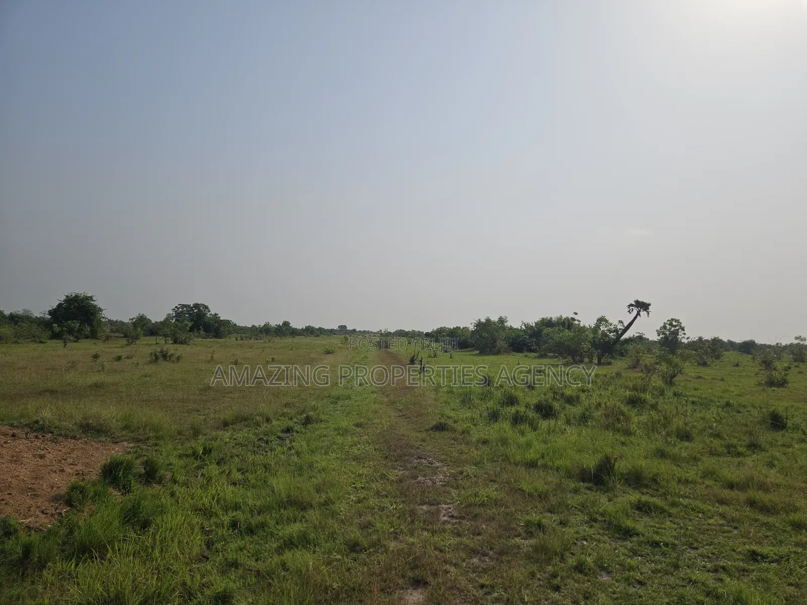 40 Acres of Land for Sale at School Junction in Madina
