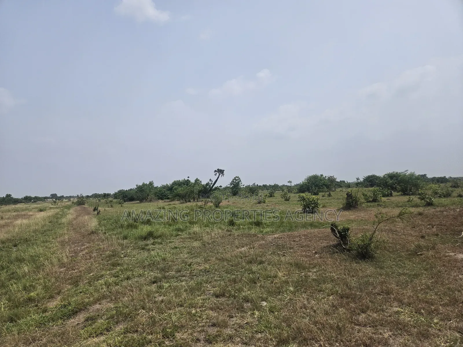 20 Acres of Estate Land at West Trasacco in East Legon