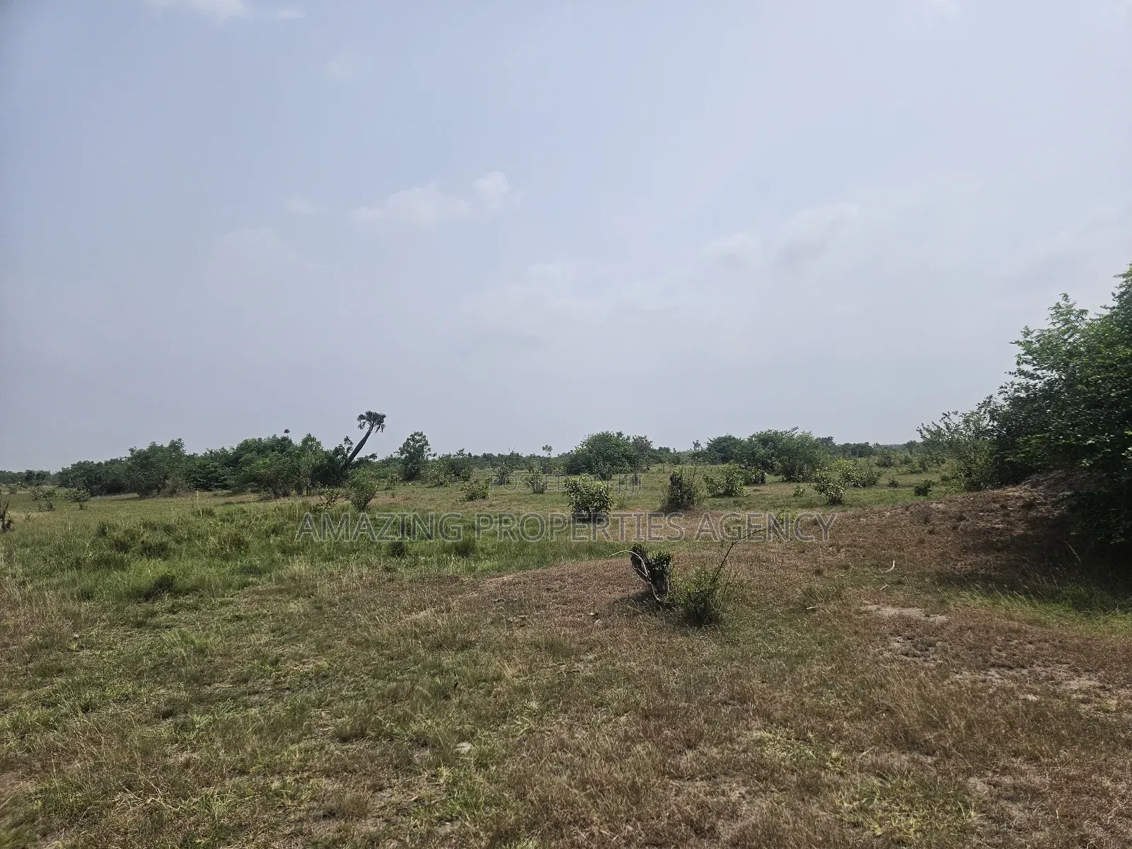 20 Acres of Estate Land at West Trasacco in East Legon