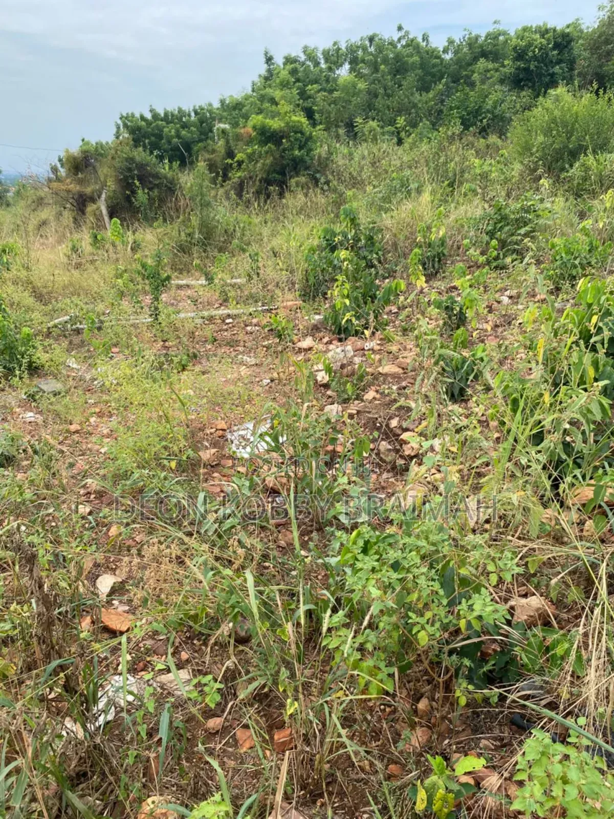 City View Land for Sale in Dodowa