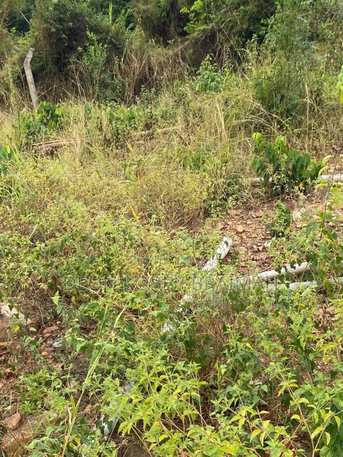 City View Land for Sale in Dodowa