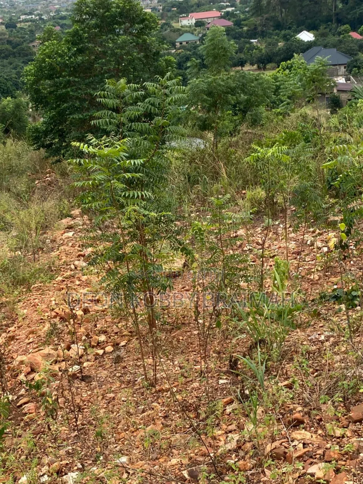 City View Land for Sale in Dodowa