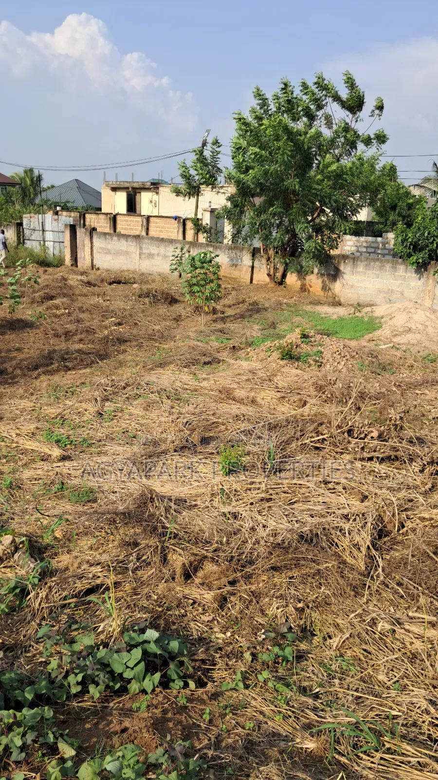 Two Plots of Land at Amasaman- Sapeiman in Amasaman