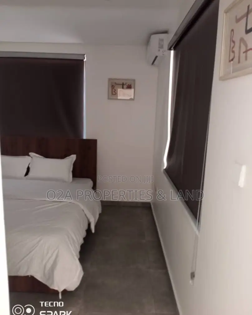 Furnished 2bdrm Apartment in East Legon, Bawaleshie for rent in Bawaleshie