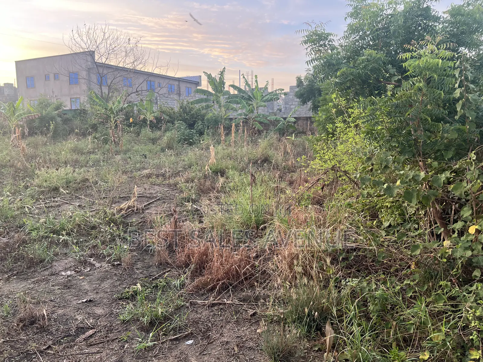 2 N Half Plot for Sale at Tema Com 25 5 Mins Drives From the Motorway in Community 25