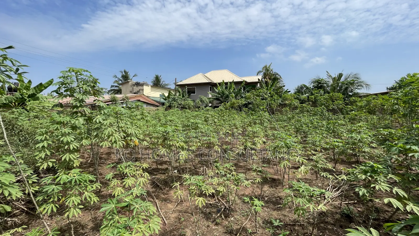 One (1) Plot of Land for Sale in Pokuase