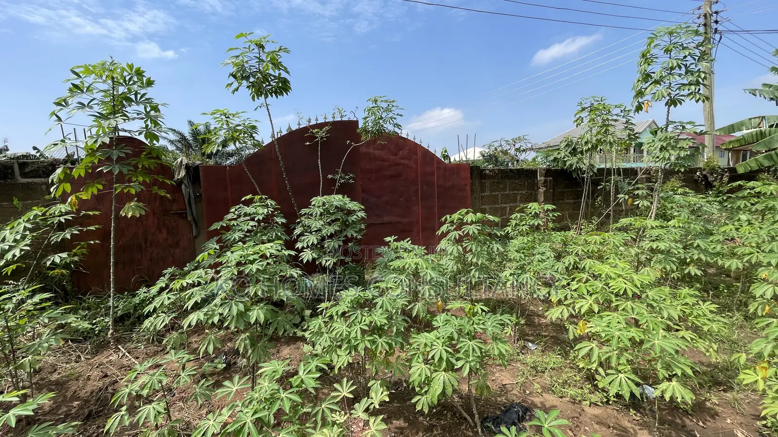 One (1) Plot of Land for Sale in Pokuase