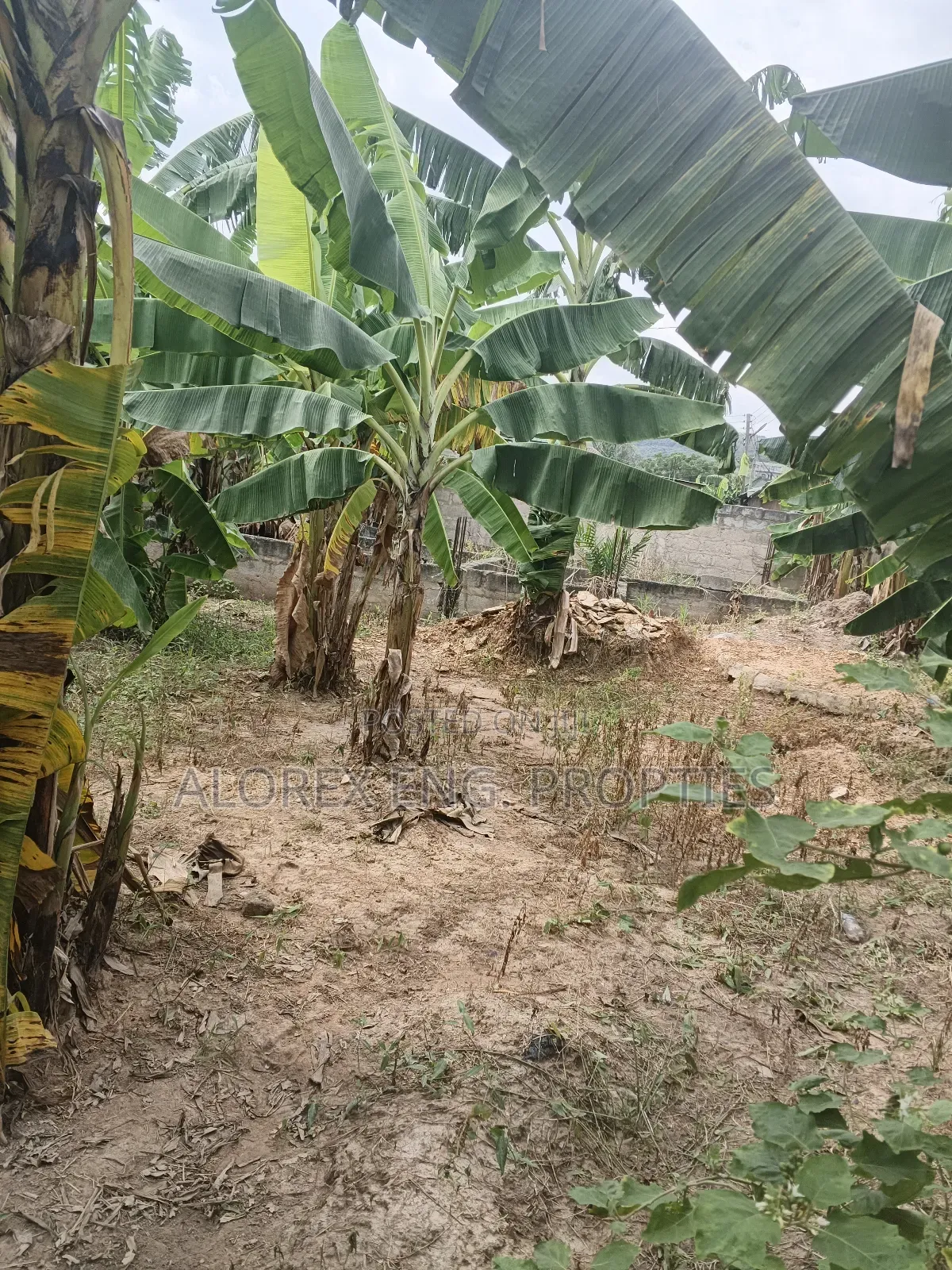 A Plot of Land With Footing for Sale at Oyarifa Teiman in Oyarifa