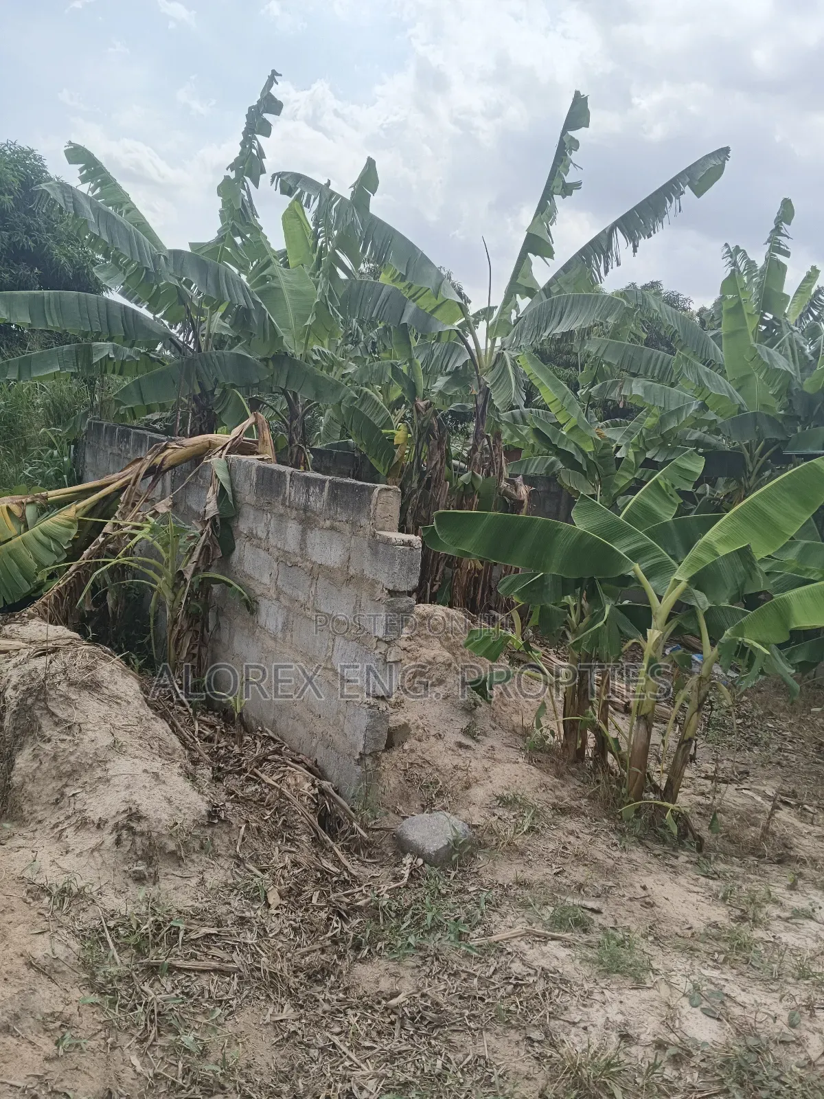A Plot of Land With Footing for Sale at Oyarifa Teiman in Oyarifa