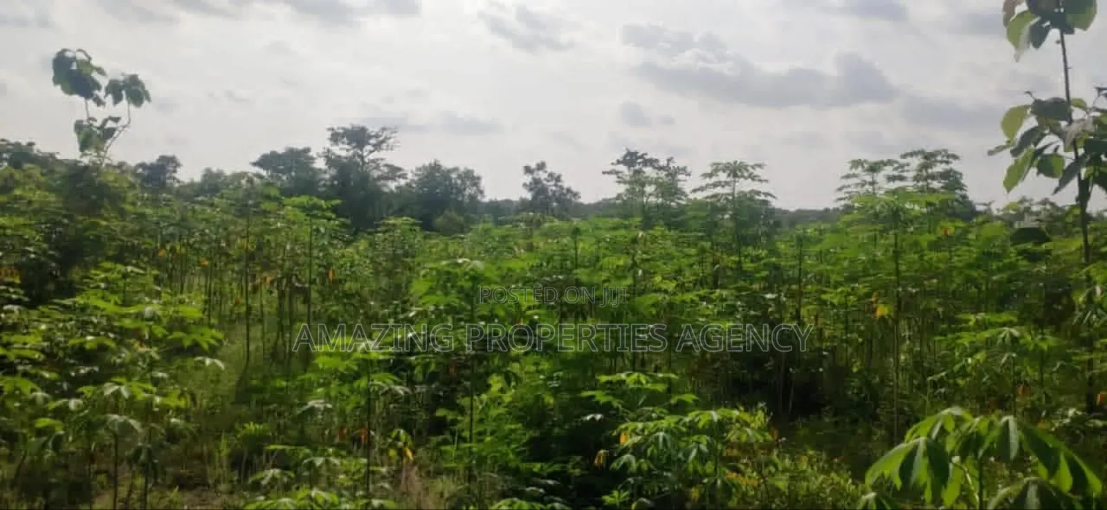 Property for Sale at Dzorwulu in Dzorwulu
