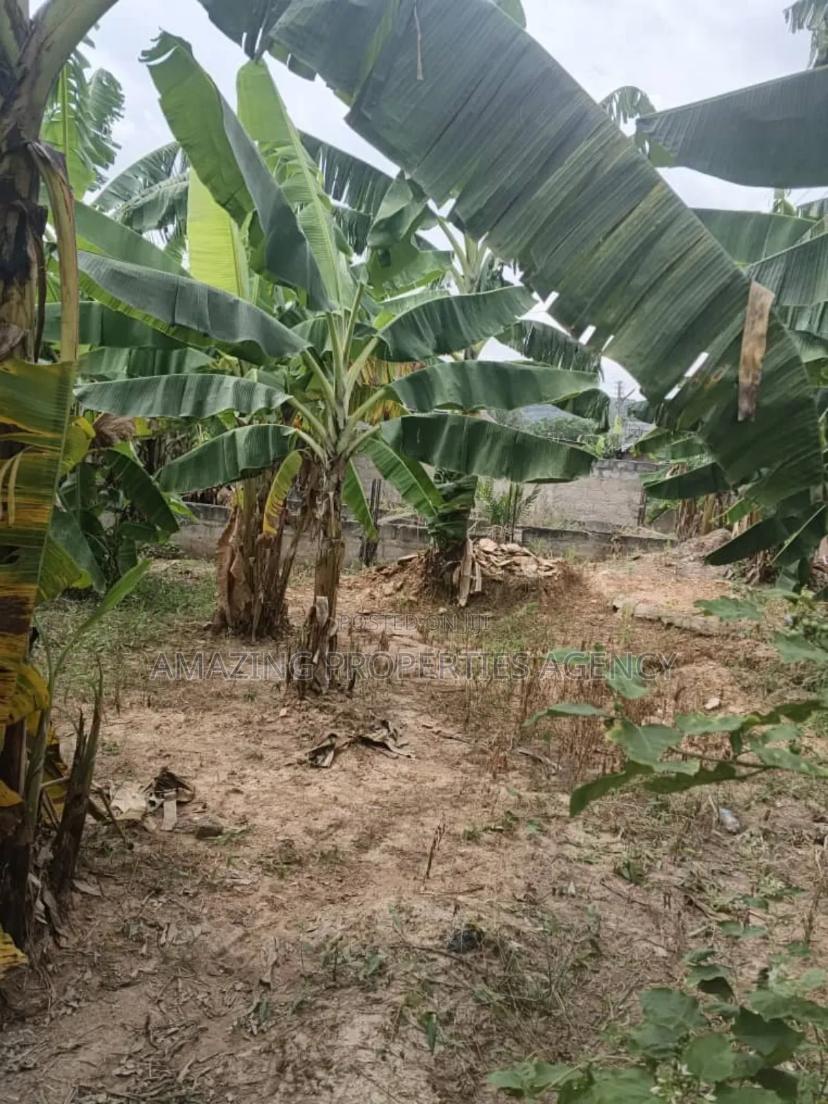 3 and Half Plots of Land Up for Sale at North Legon.* in North Legon