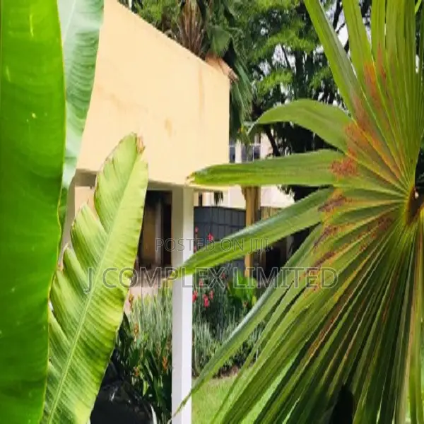 3bdrm House in Nyaniba Estate for rent in Nyaniba Estate