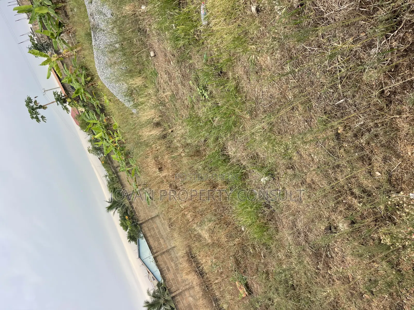 Title Half Plot 4 Sale at Amasaman Obeyeyie Going for 160,000 Cedis. in Amasaman