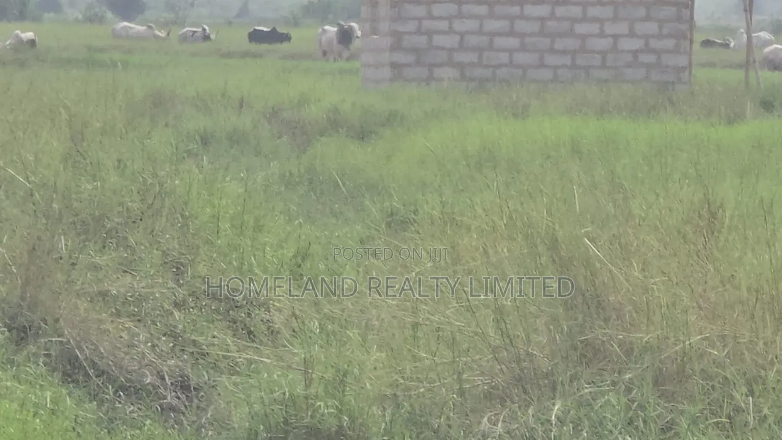 400 Acres of Titled Plot for Sale at Tetegu in Tetegu