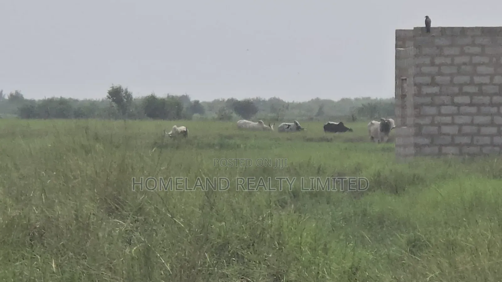 400 Acres of Titled Plot for Sale at Tetegu in Tetegu