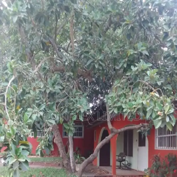 4bdrm House in Nyaniba Estate for rent in Nyaniba Estate