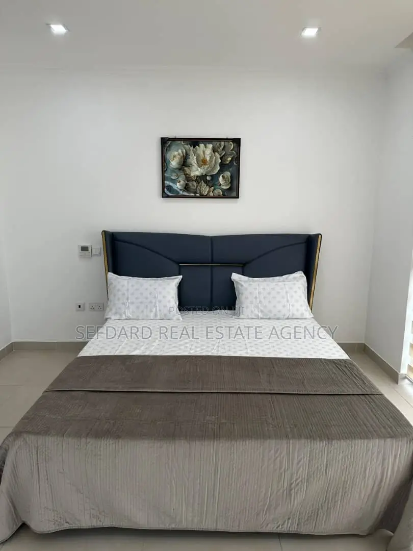 Furnished 2bdrm Apartment in Cantonments for rent in Cantonments