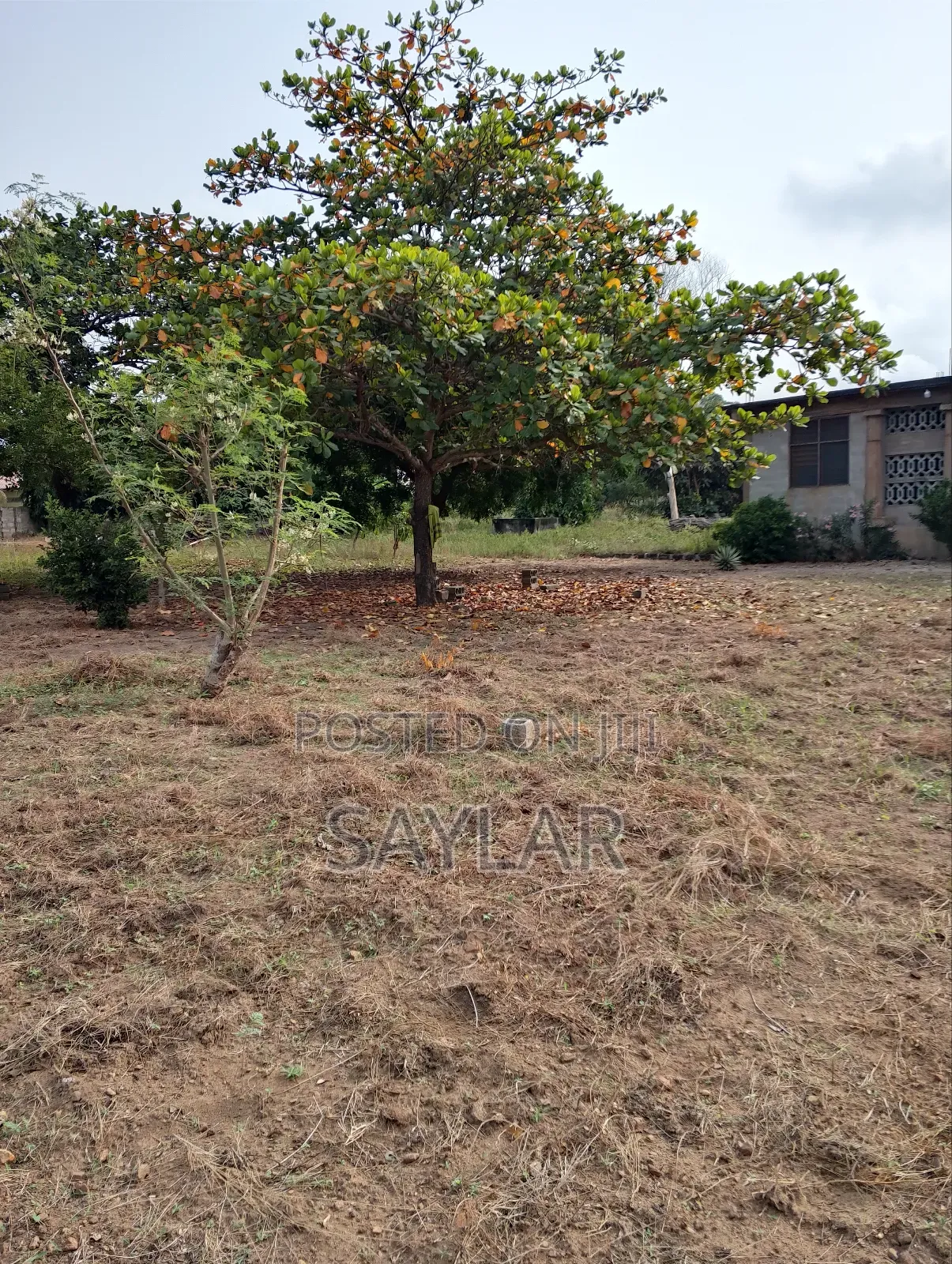 0.65 Acre of Direct Road Side Land for Sale Comm12 in Tema Metropolitan