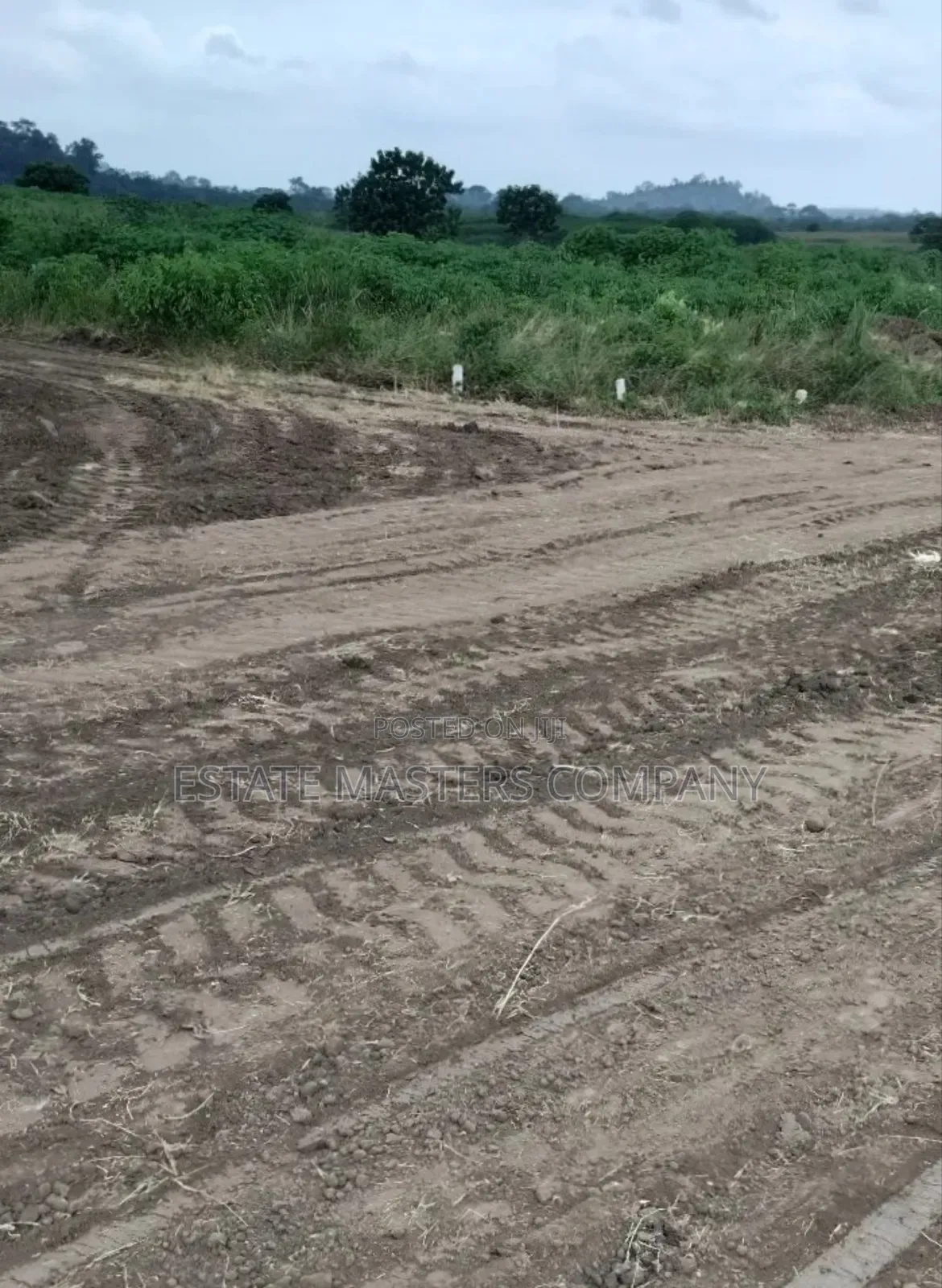 Do Your Project At Palm Hills in Gomoa East