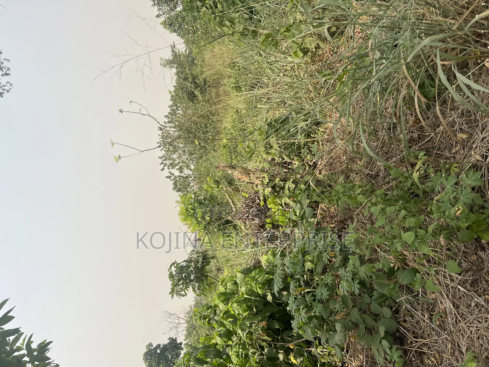 Prime 2 Plots of Land for Sale at Sokoban – Patuda (100×200) in Kumasi Metropolitan