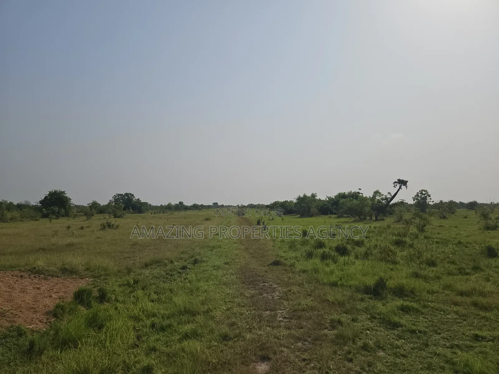300 Acres Land East Legon Hills Regimanuel Real Estate Katamanso in Accra Metropolitan