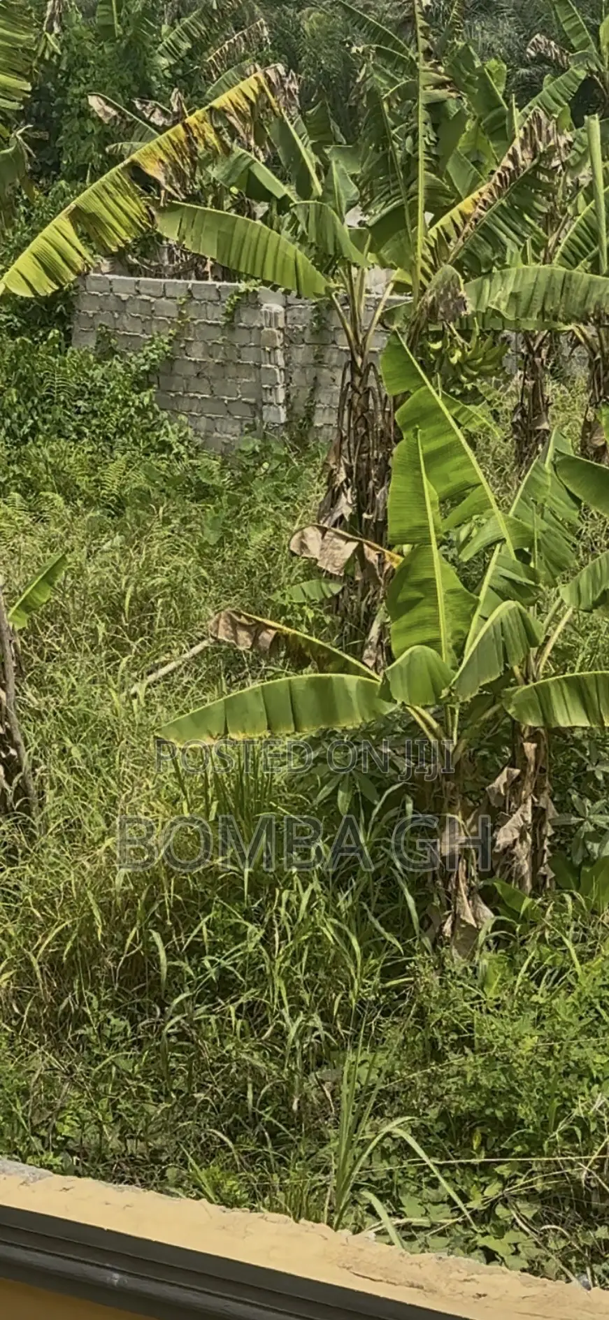 Half Plot Available for Sale in Pokuase