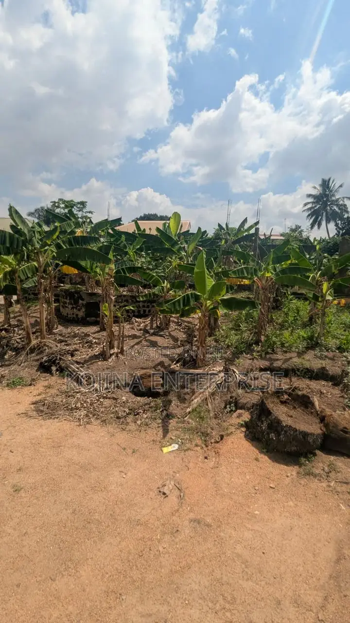 Borteyman: 2 Residential Plots for Sale in Accra Metropolitan