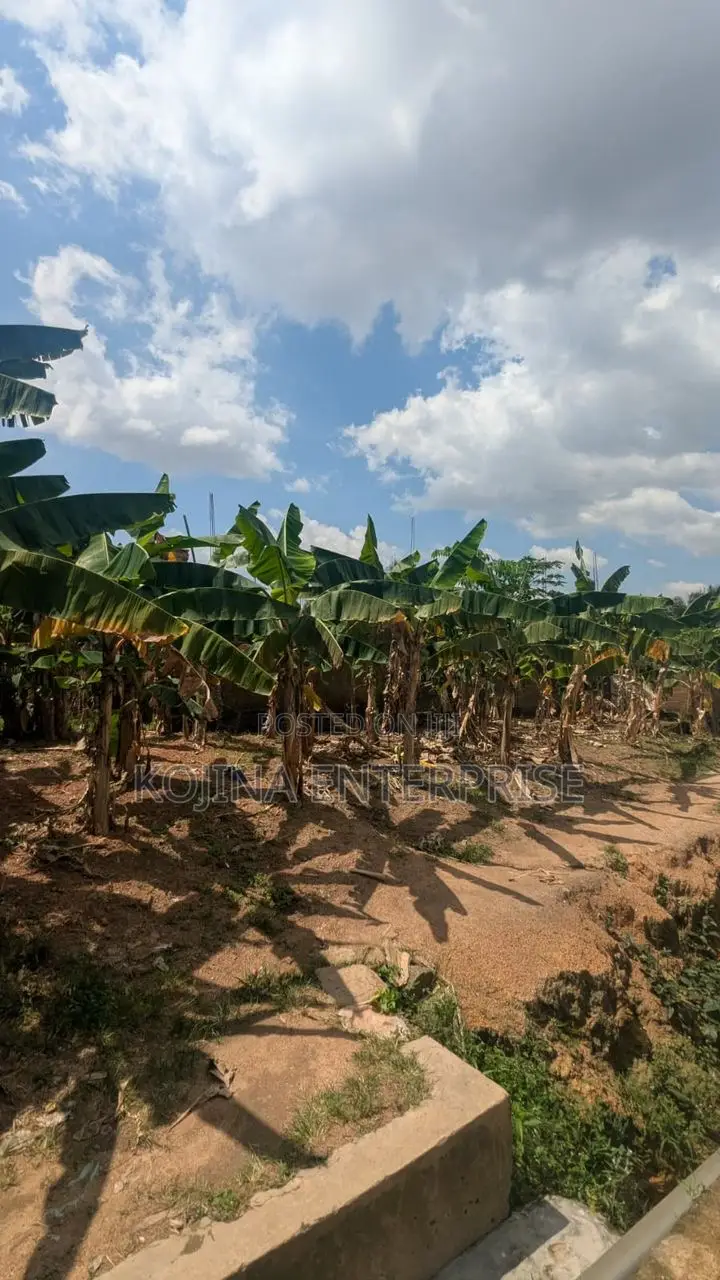 Borteyman: 2 Residential Plots for Sale in Accra Metropolitan