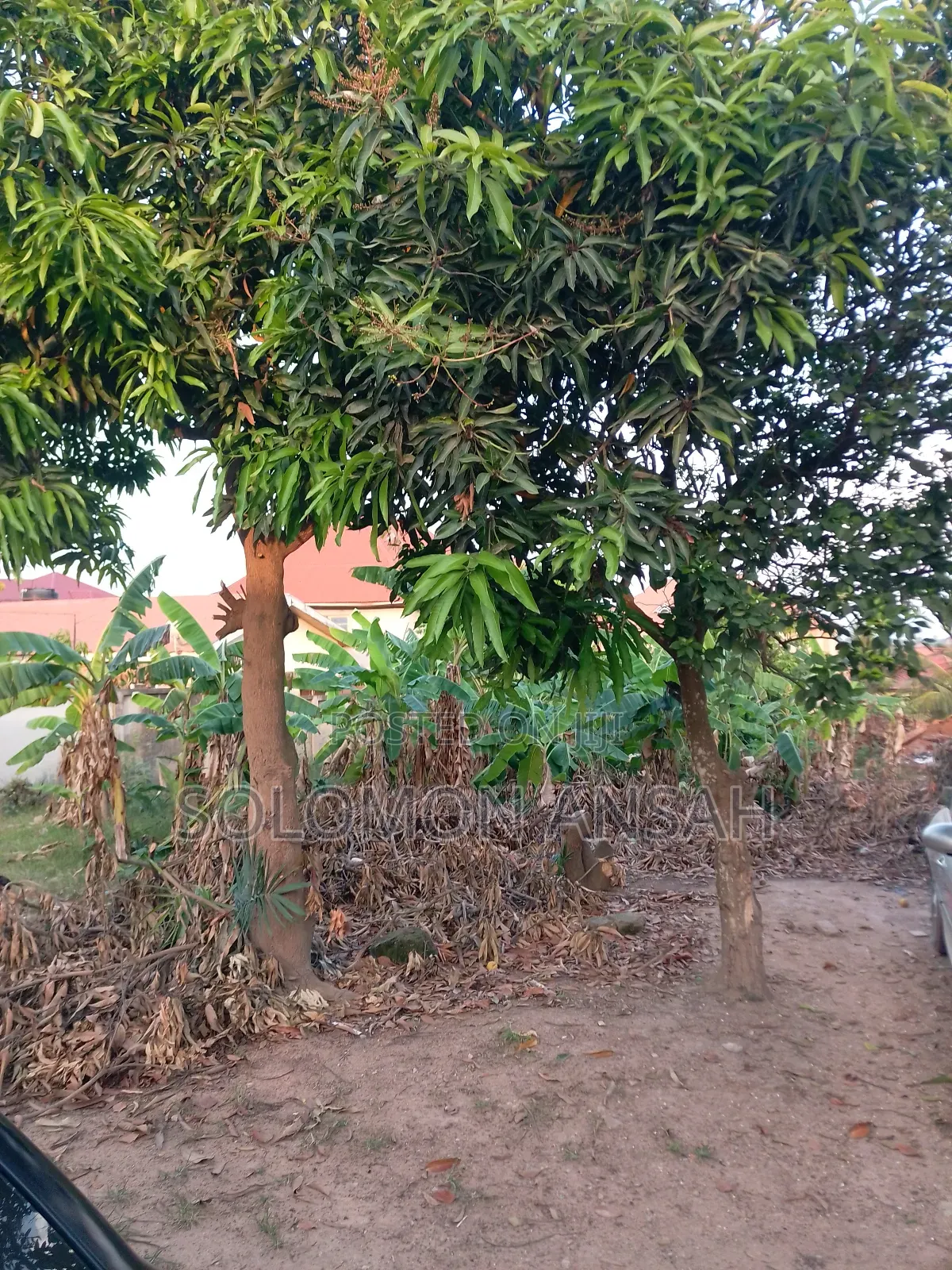 Half Plot of Land for Sale at Esereso in Kumasi Metropolitan
