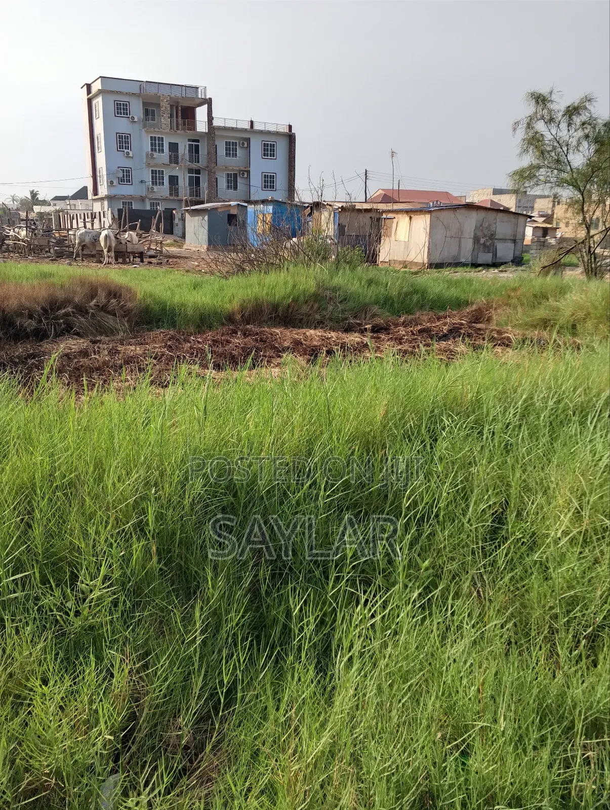 A Special Half Plot Few Meters From the Main Road for Sale Klagon in Tema Metropolitan