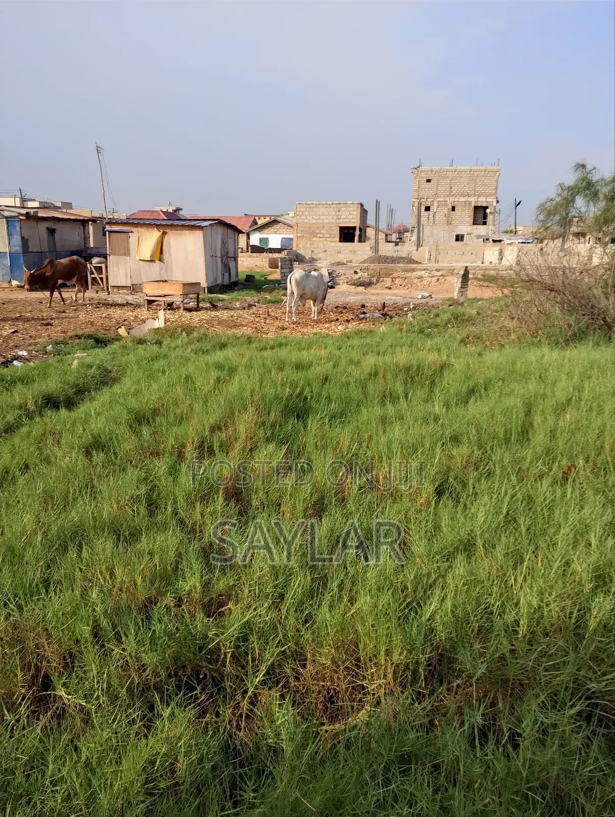 A Special Half Plot Few Meters From the Main Road for Sale Klagon in Tema Metropolitan