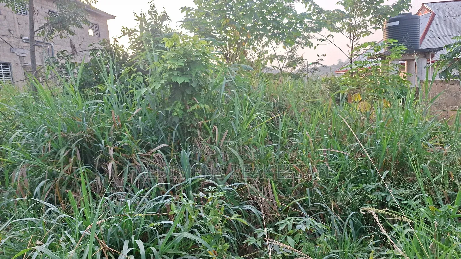 Land at Adubinsu-Biaa for Sale in Afigya-Kwabre