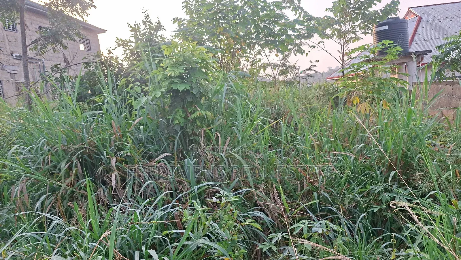 Land at Adubinsu-Biaa for Sale in Afigya-Kwabre