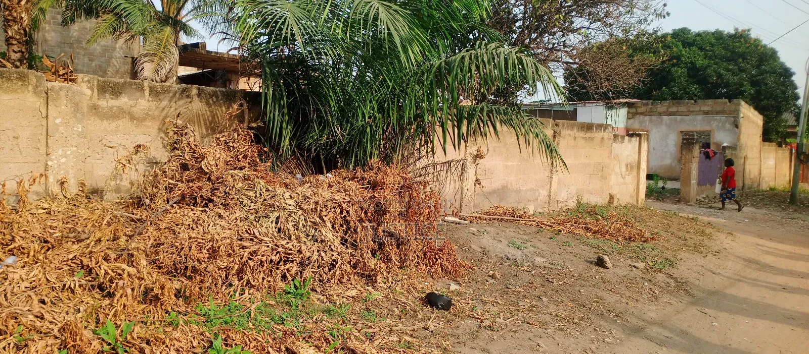 Title Registered 4 Plots of Land West Legon in Presby Church Area