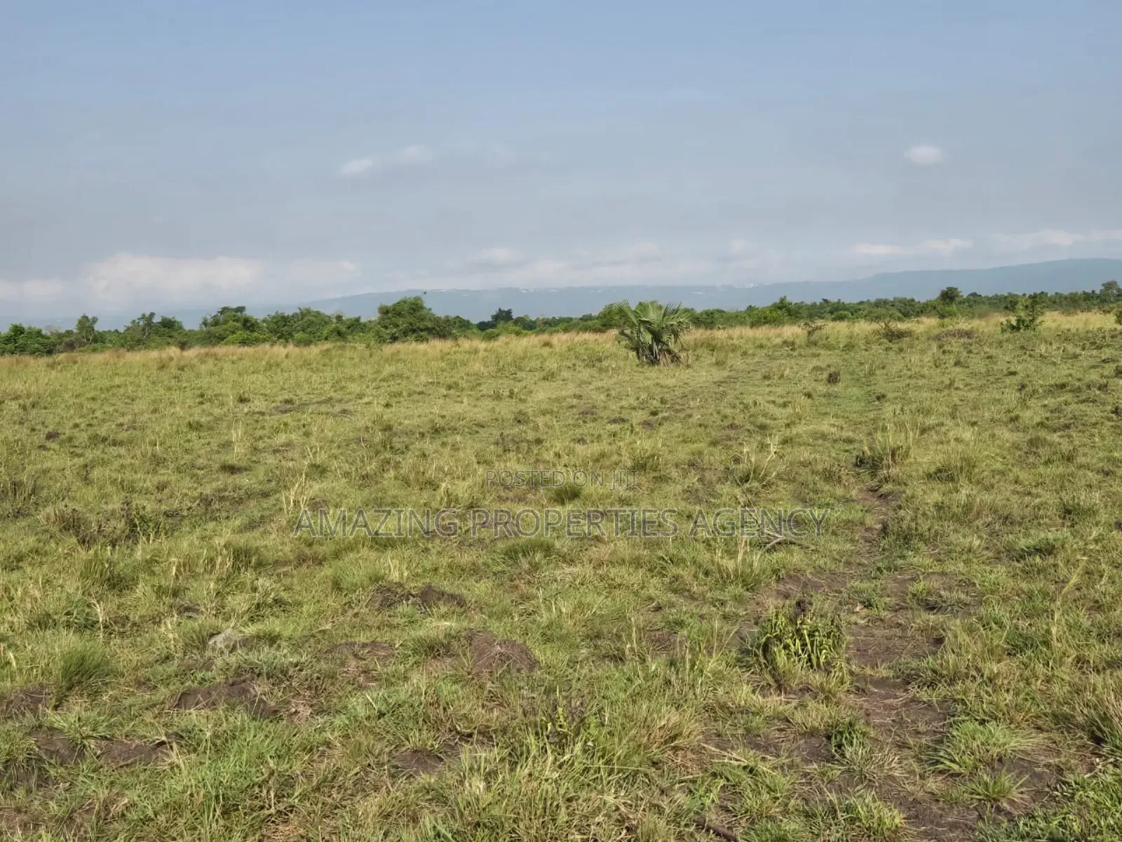 1200 Acres of Land at Asutuare in Lower Manya Krobo