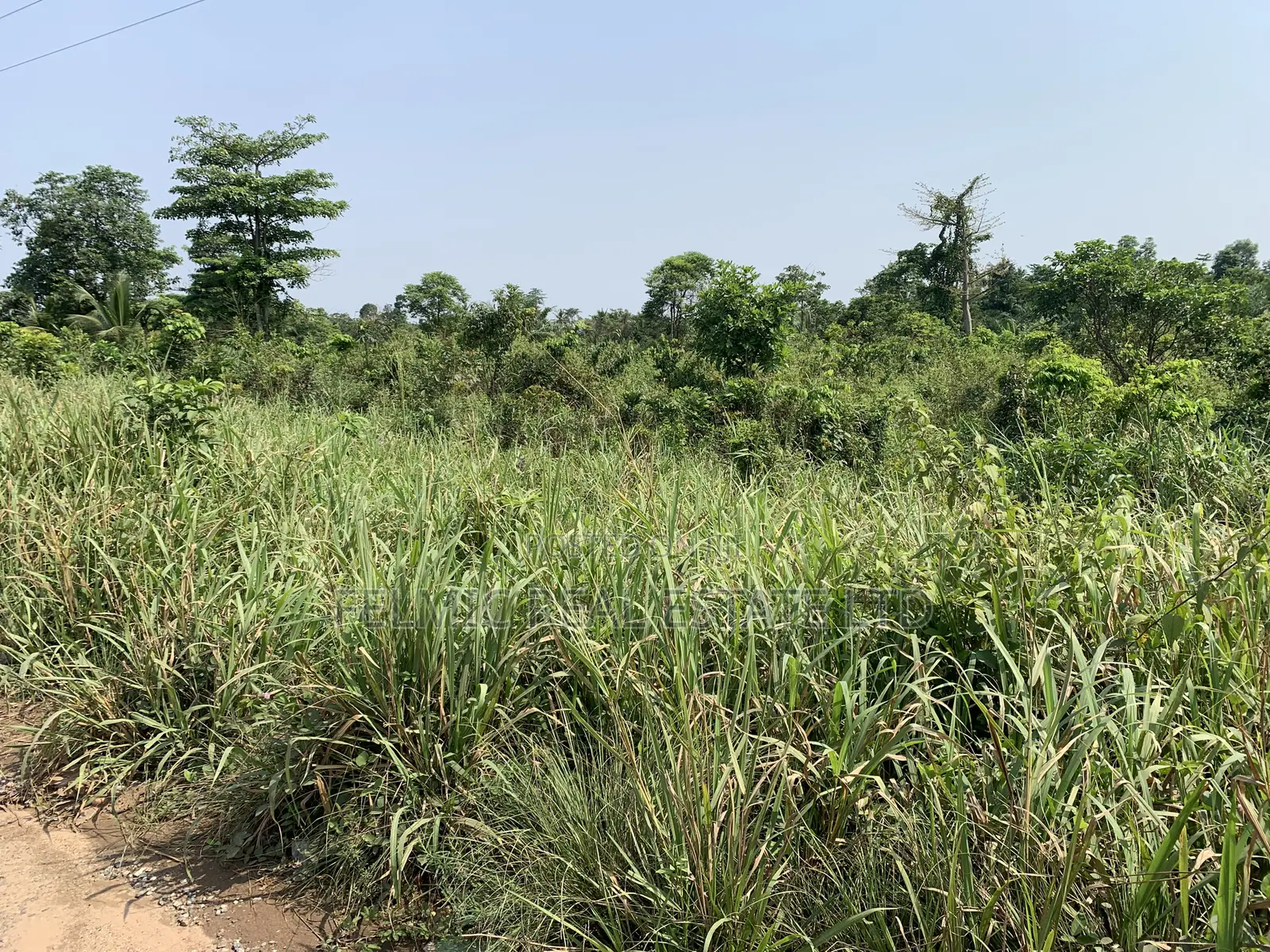50 Acres at Adeiso for Sale in East Akim Municipal