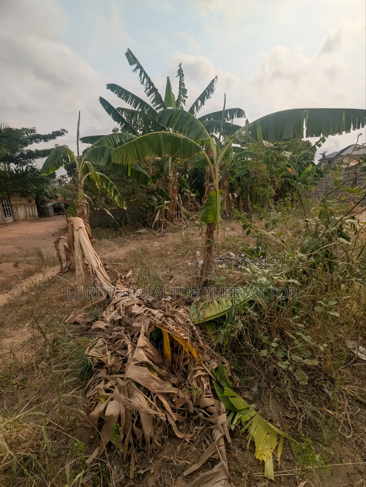 Half Plot for Sale in Ofankor